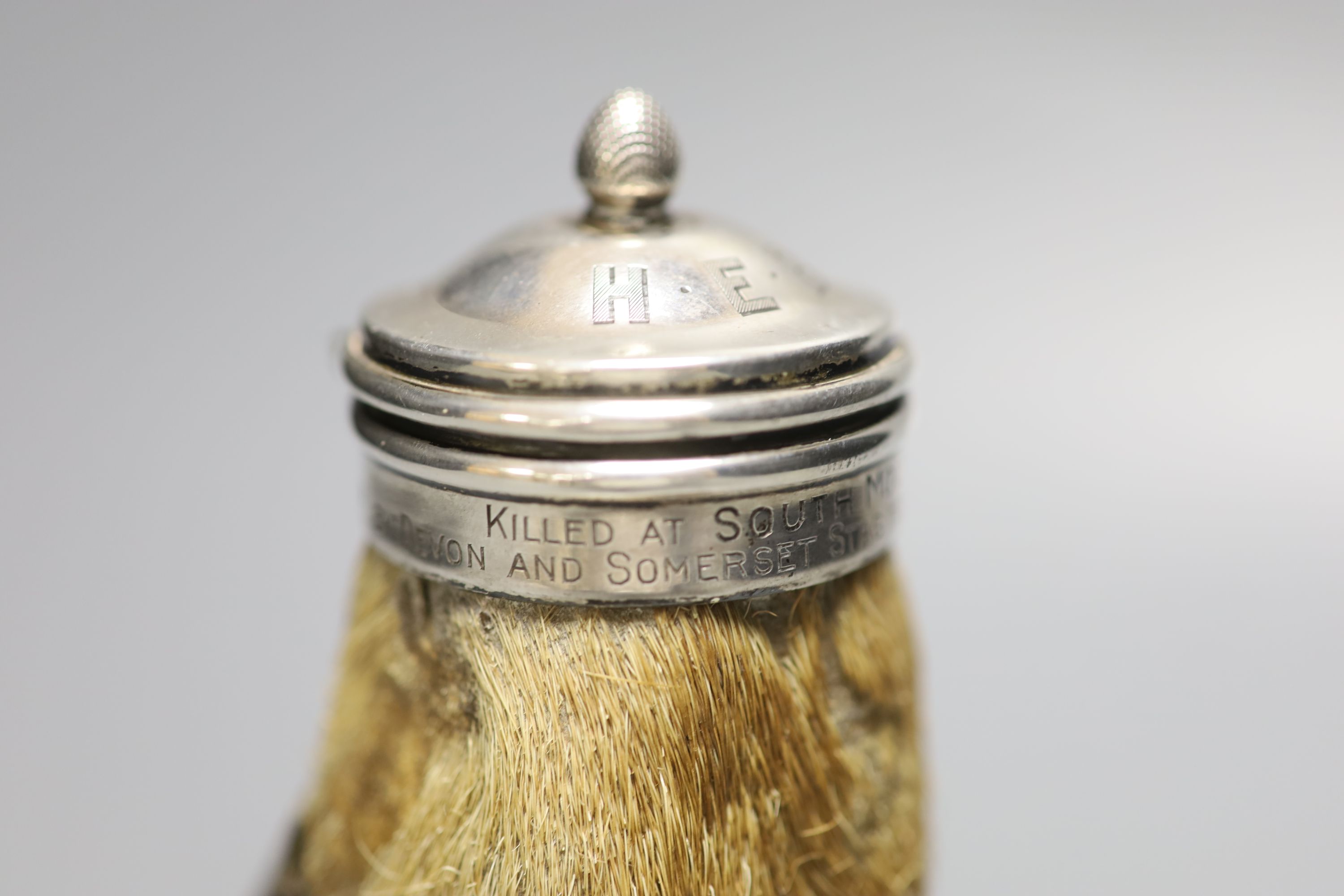 A George V silver mounted stag hoof vesta, with hinged cover and engraved inscription, Grey & Co, Chester, 1912, 16.2cm,